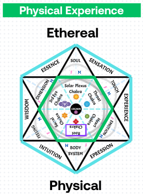 The Dome as Conscious&nbsp;Interface