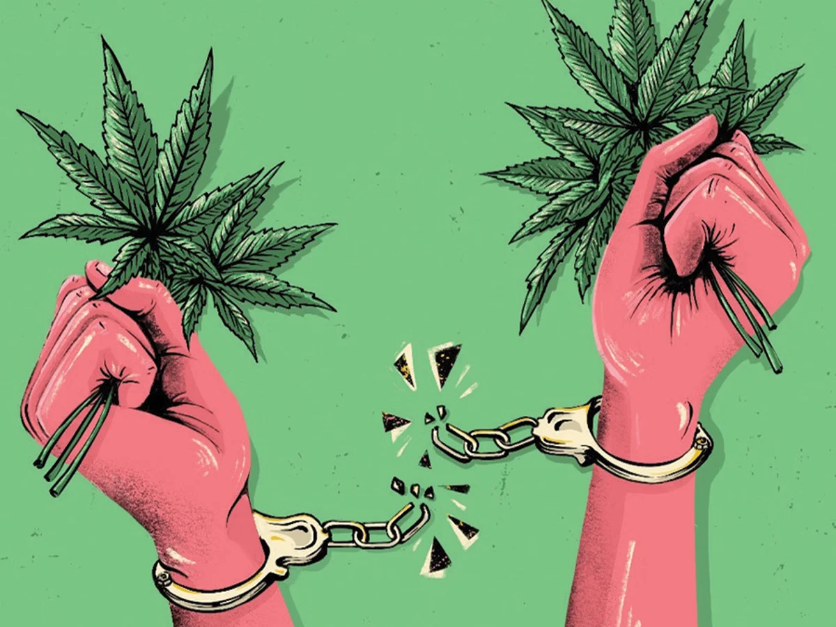 Forgive Me, Marijuana